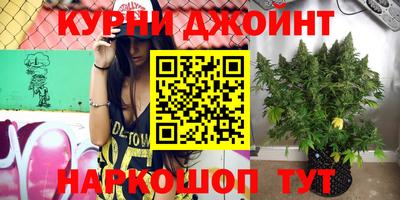 Альфа ПВП Будённовск